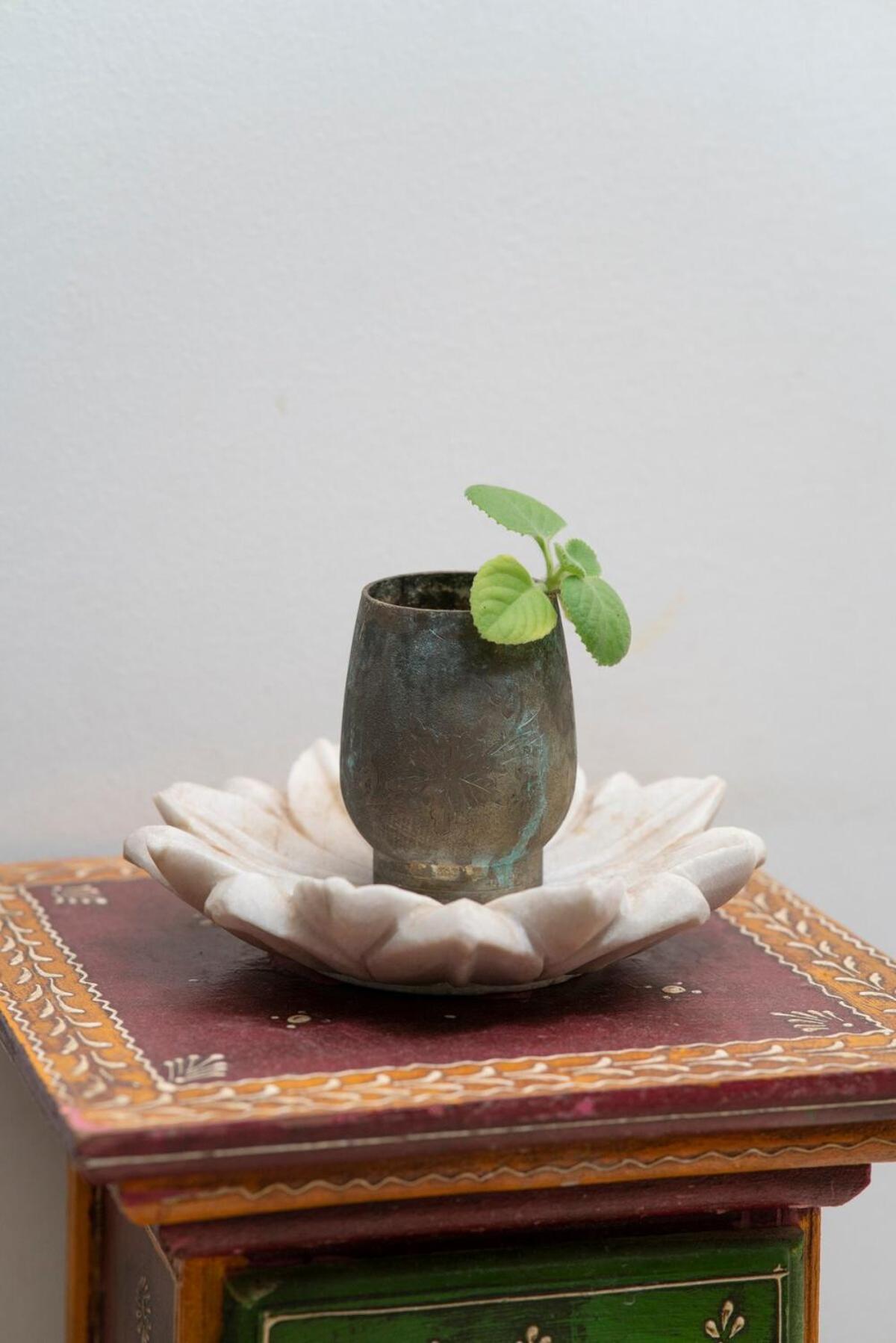 Santosh Villa - The House Of Antiques And Art أُودايبور المظهر الخارجي الصورة